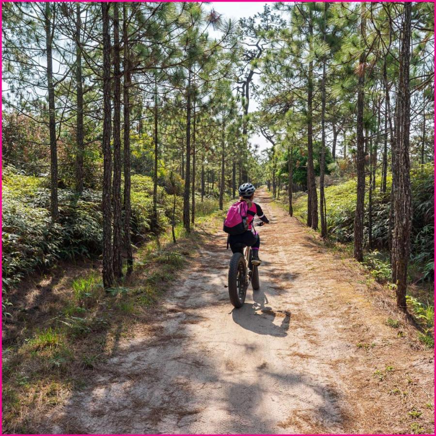 Mobilhome 2Ch Climatise-Terrasse Fermee-4 Velos-Camping 4 Etoiles Les Charmettes 莱马特 外观 照片